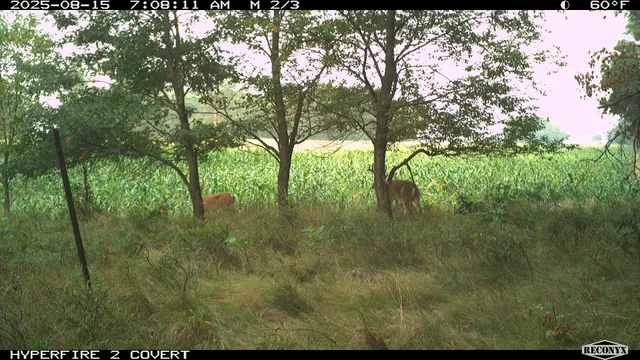 $989,000 | 11752 North Brinton Road, Lake, MI 48632