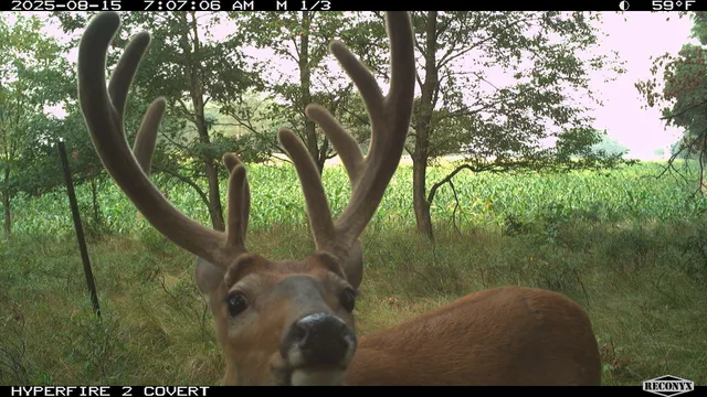 $989,000 | 11752 North Brinton Road, Lake, MI 48632