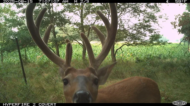 $989,000 | 11752 North Brinton Road, Lake, MI 48632