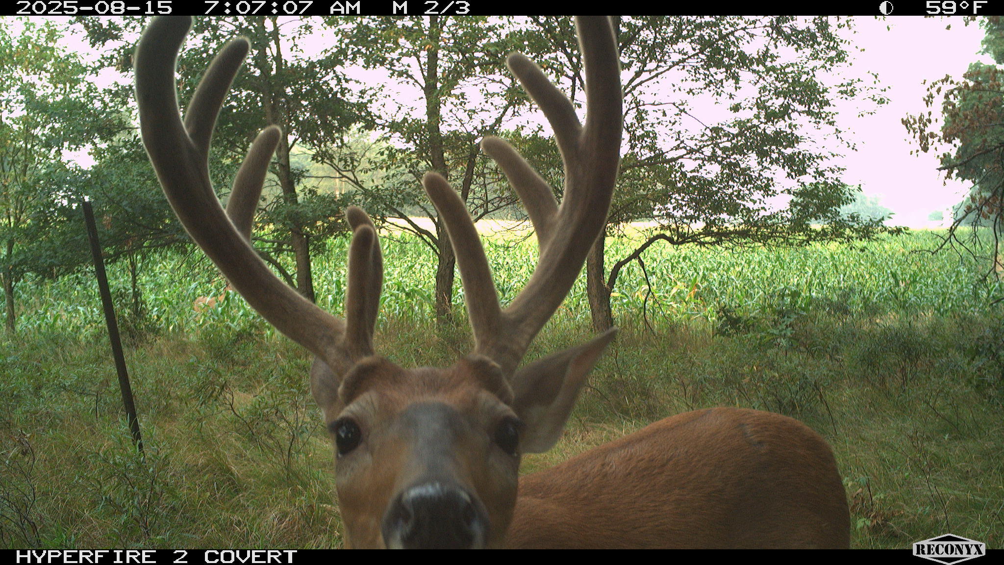 11752 North Brinton Road Lake, MI 48632 - Photo 35 of 74 RCNX0754