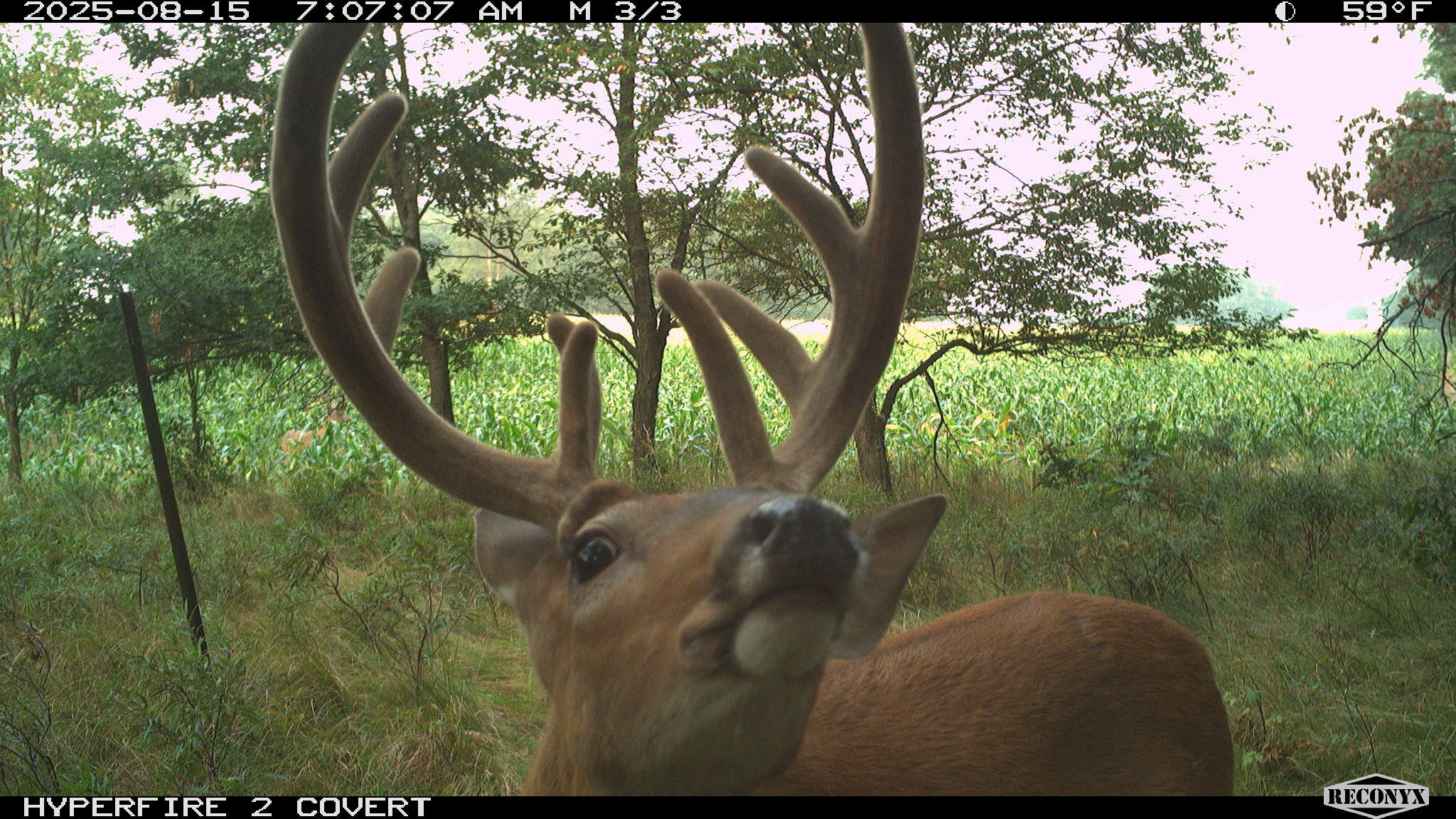 11752 North Brinton Road Lake, MI 48632 - Photo 36 of 74 RCNX0755