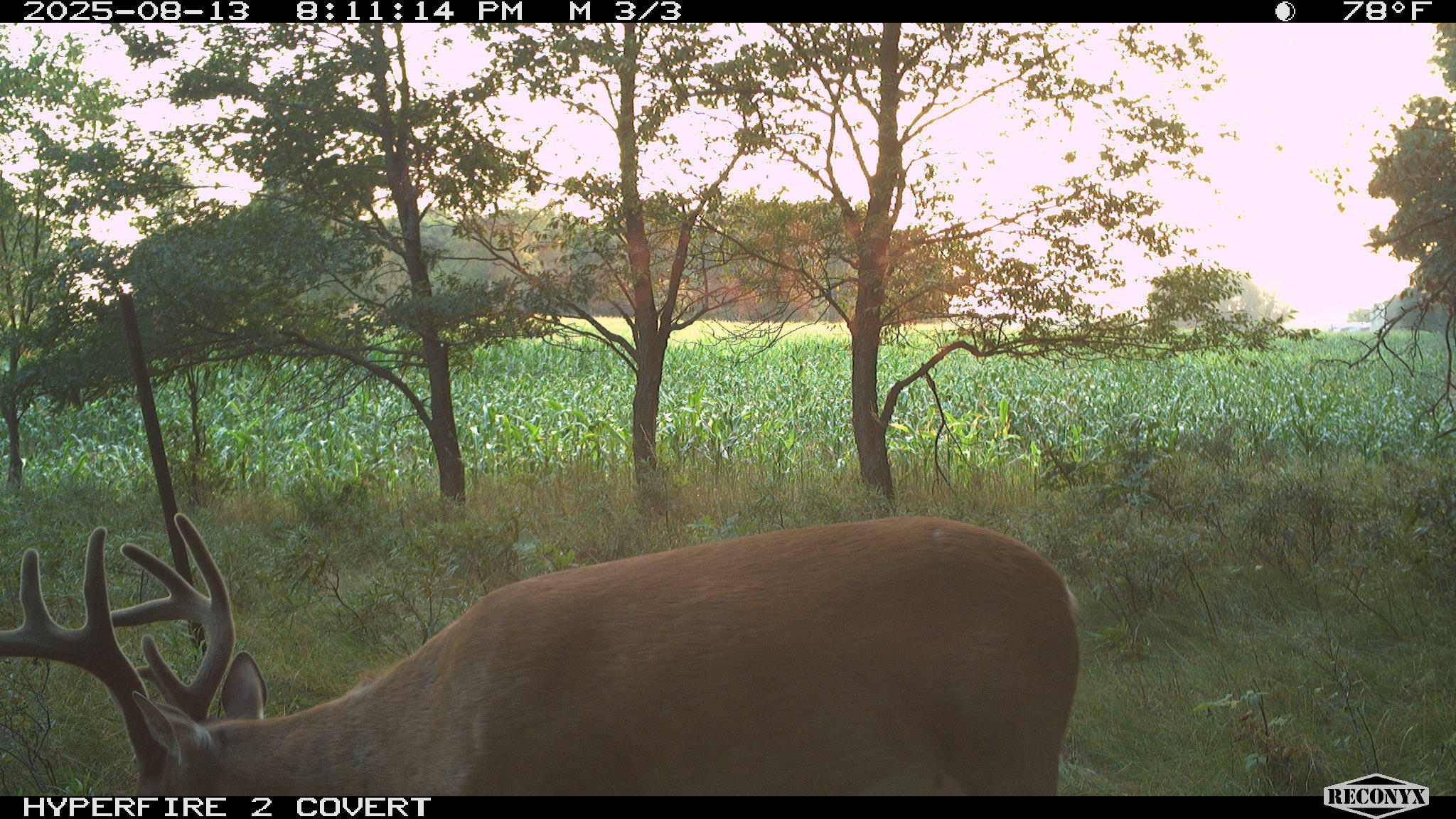 11752 North Brinton Road Lake, MI 48632 - Photo 37 of 74 RCNX0079