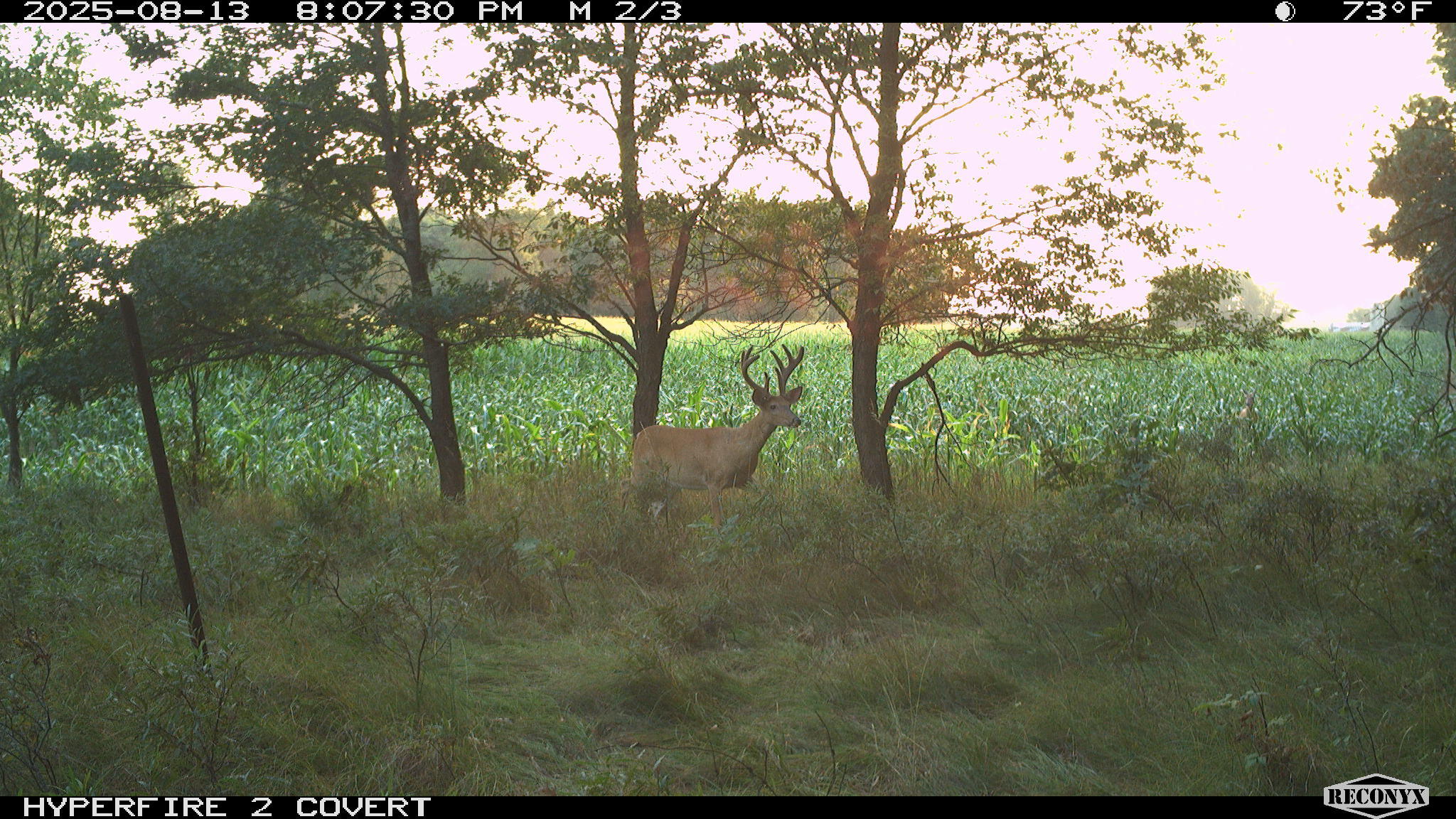 11752 North Brinton Road Lake, MI 48632 - Photo 43 of 74 RCNX0050