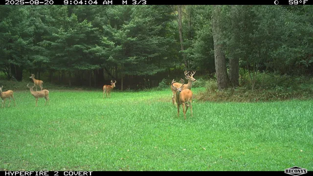 $989,000 | 11752 North Brinton Road, Lake, MI 48632