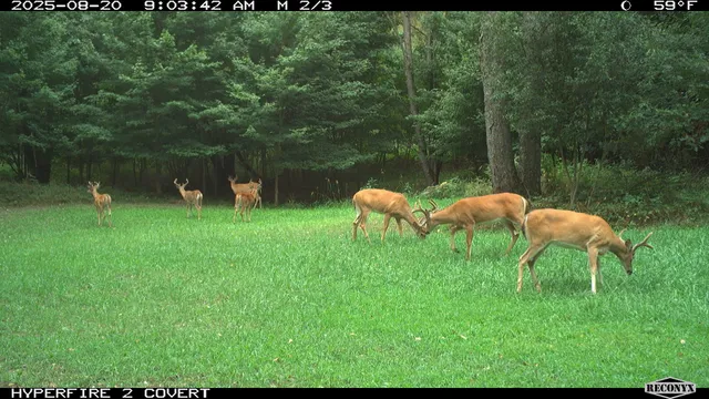 $989,000 | 11752 North Brinton Road, Lake, MI 48632