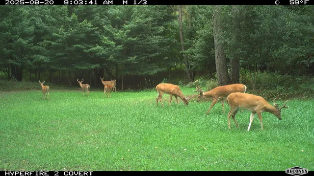 $989,000 | 11752 North Brinton Road, Lake, MI 48632