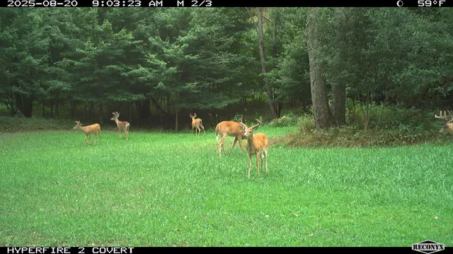 $989,000 | 11752 North Brinton Road, Lake, MI 48632