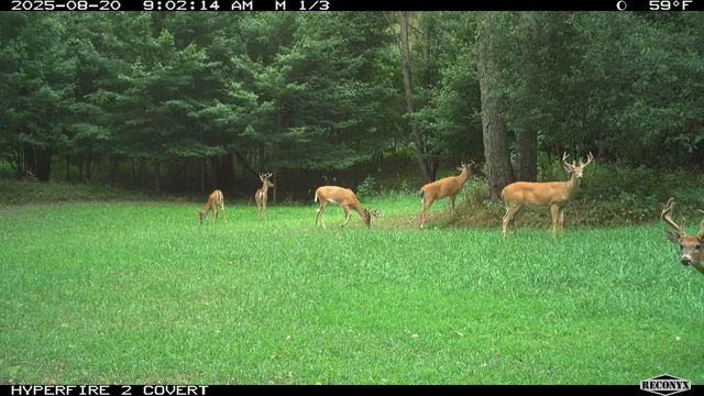 $989,000 | 11752 North Brinton Road, Lake, MI 48632