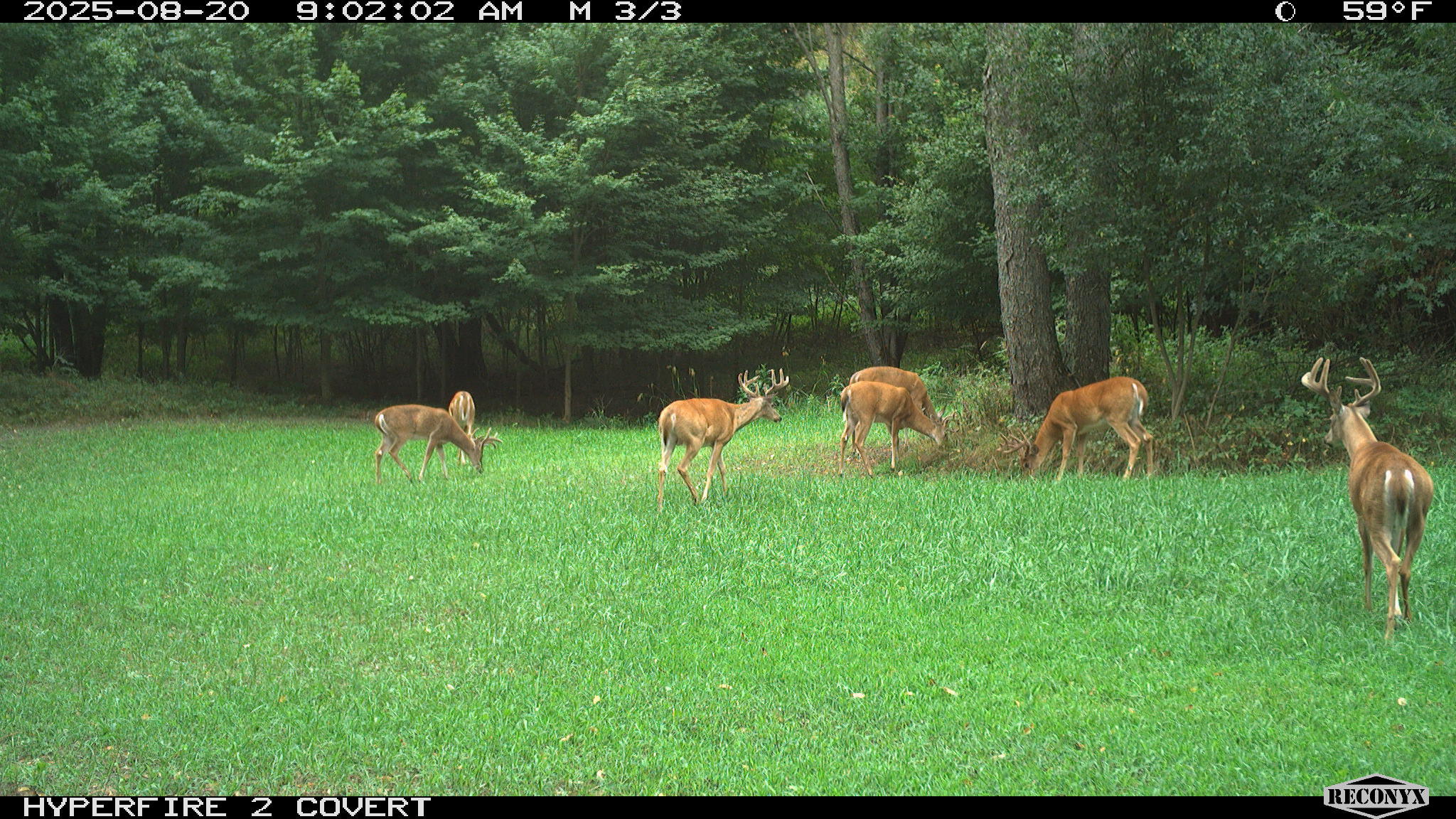 11752 North Brinton Road Lake, MI 48632 - Photo 64 of 74 RCNX0582