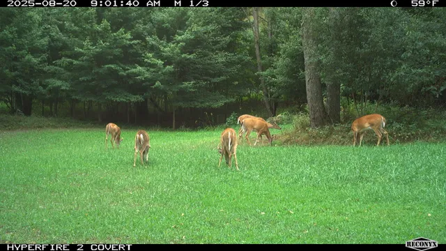 $989,000 | 11752 North Brinton Road, Lake, MI 48632