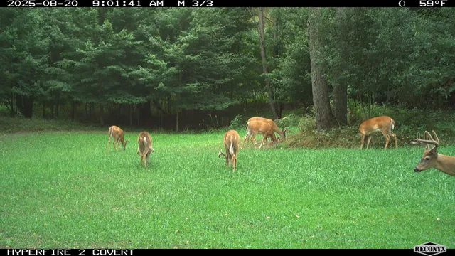 $989,000 | 11752 North Brinton Road, Lake, MI 48632