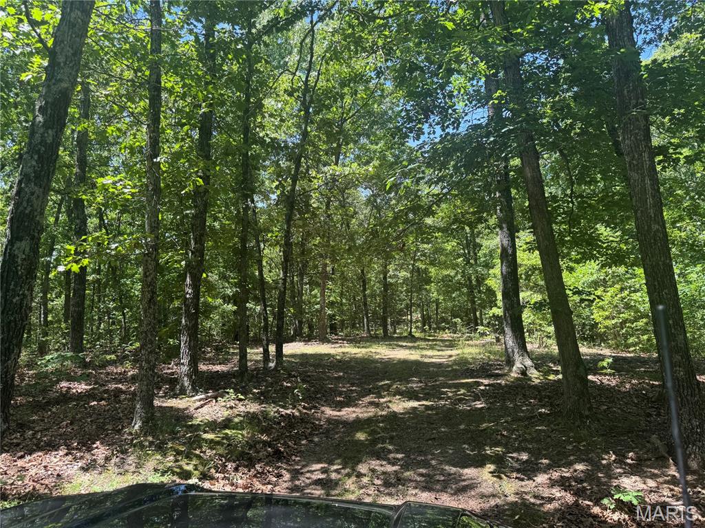N/a South Klein Road Steelville, MO 65565 - Photo 4 of 6