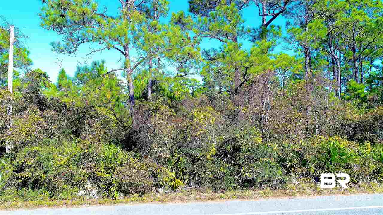 0 West State Highway Maplesville, AL 36750 - Photo 2 of 11