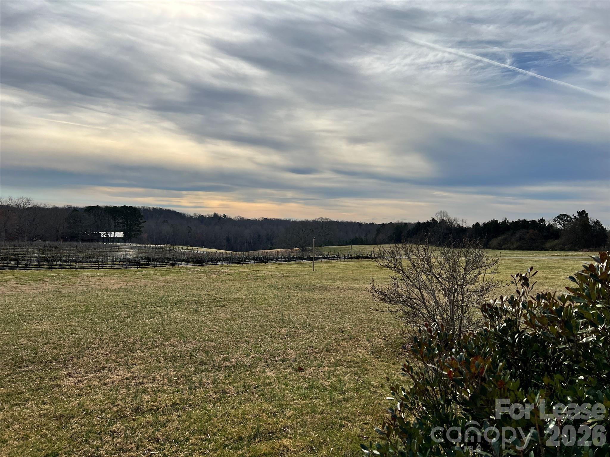 149 Lytton Farm Road Troutman, NC 28166 - Photo 36 of 41