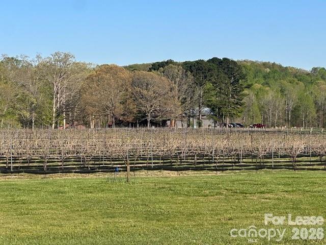 149 Lytton Farm Road Troutman, NC 28166 - Photo 41 of 41