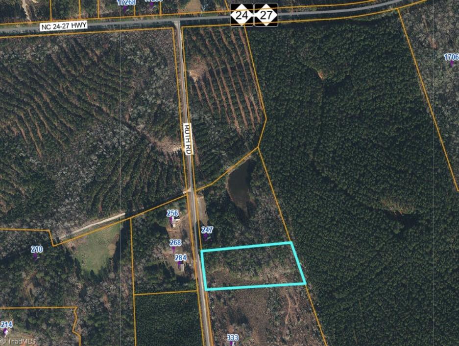 0 Ruth Road Biscoe, NC 27209 - Photo 3 of 3