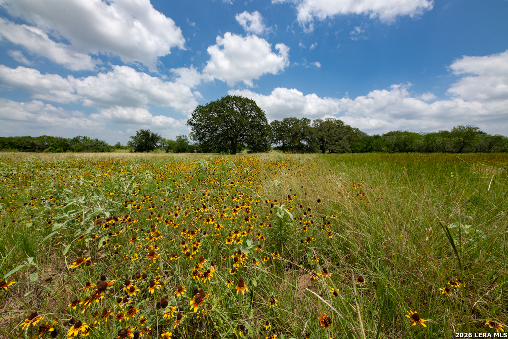 1393 Fox Trotter Road Seguin, TX 78155 - Photo 20 of 46
