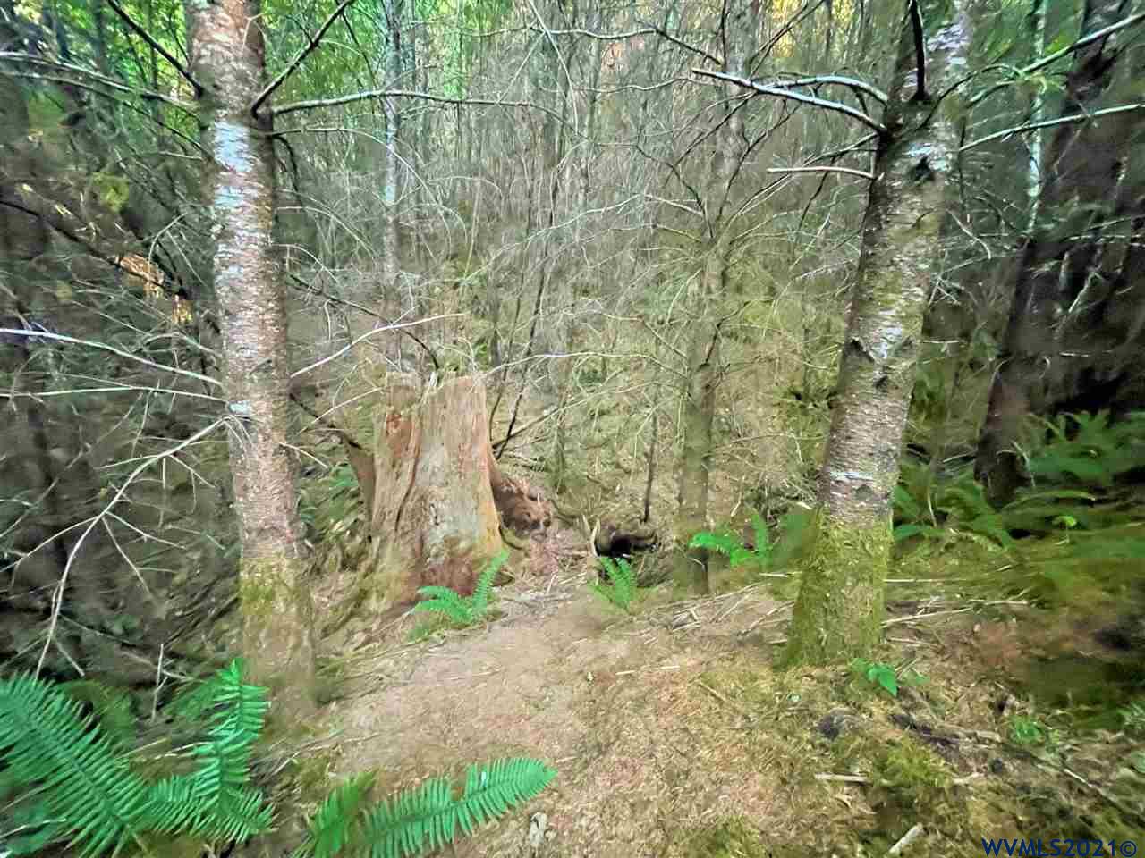Tl804 Hall Road Cheshire, OR 97419 - Photo 13 of 17 Gallery Image 13