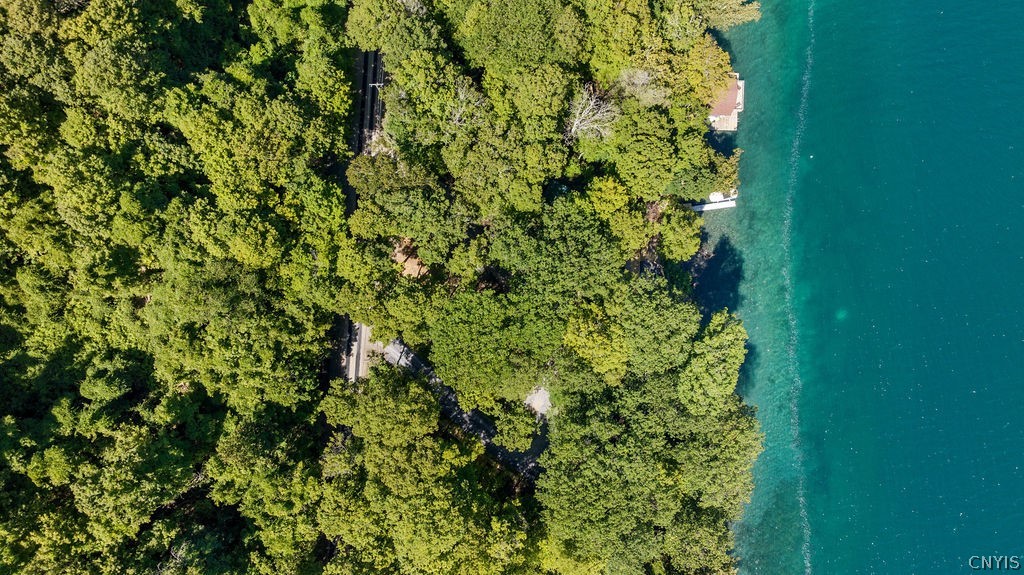 126 Ridings Drive Homer, NY 13077 - Photo 44 of 44 Aerial - shoreline