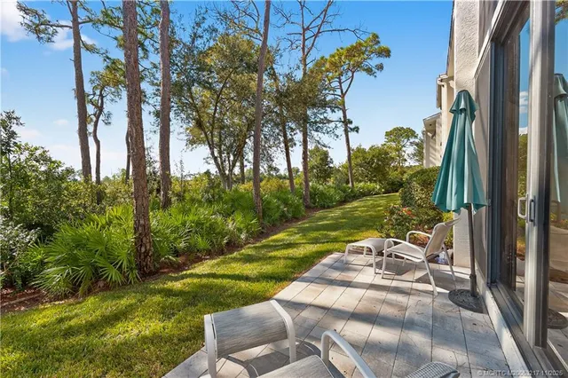 a view of a backyard with plants and garden