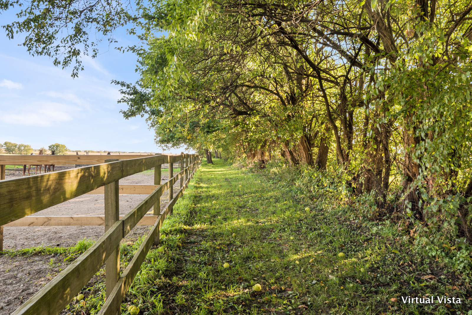 2280 Plainfield Road Oswego, IL 60543 - Photo 48 of 88 Gallery Image 48