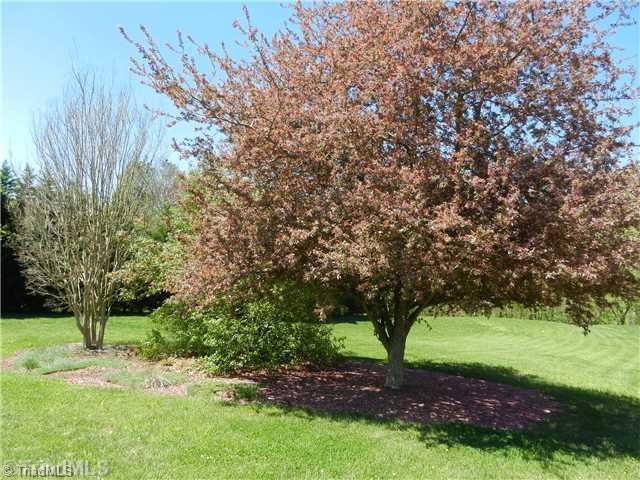 166 Springfield Drive Advance, NC 27006 - Photo 14 of 16 Land/Lot.