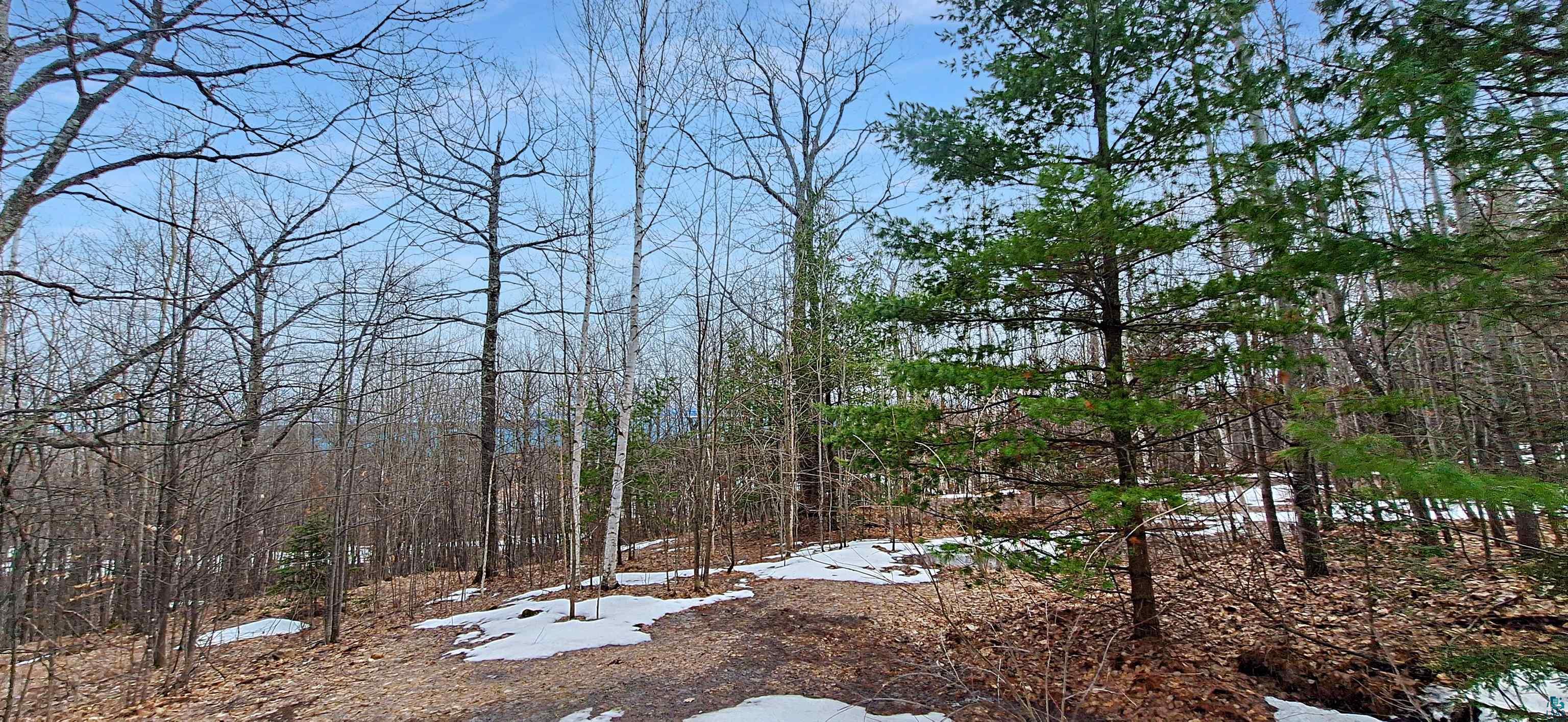 Xxx Apple Hill Road Bayfield, WI 54814 - Photo 17 of 18