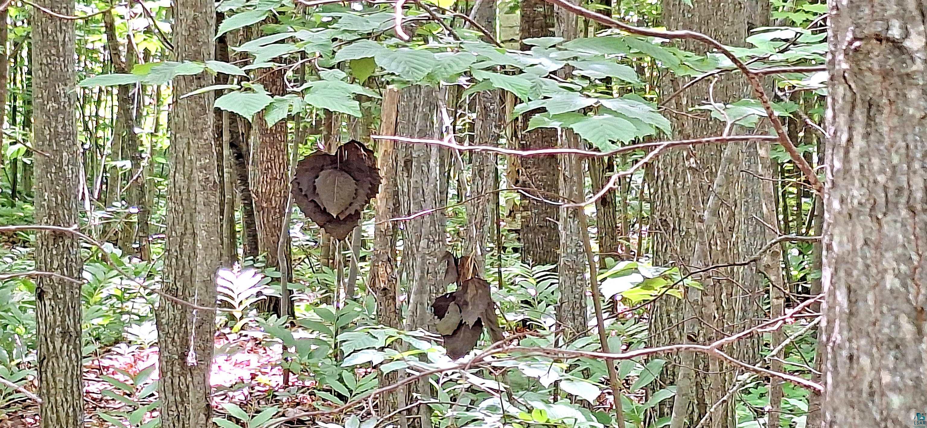 Xxx Apple Hill Road Bayfield, WI 54814 - Photo 18 of 18