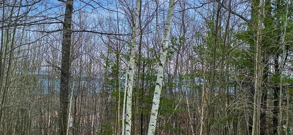 $79,900 | Xxx Apple Hill Road, Bayfield, WI 54814
