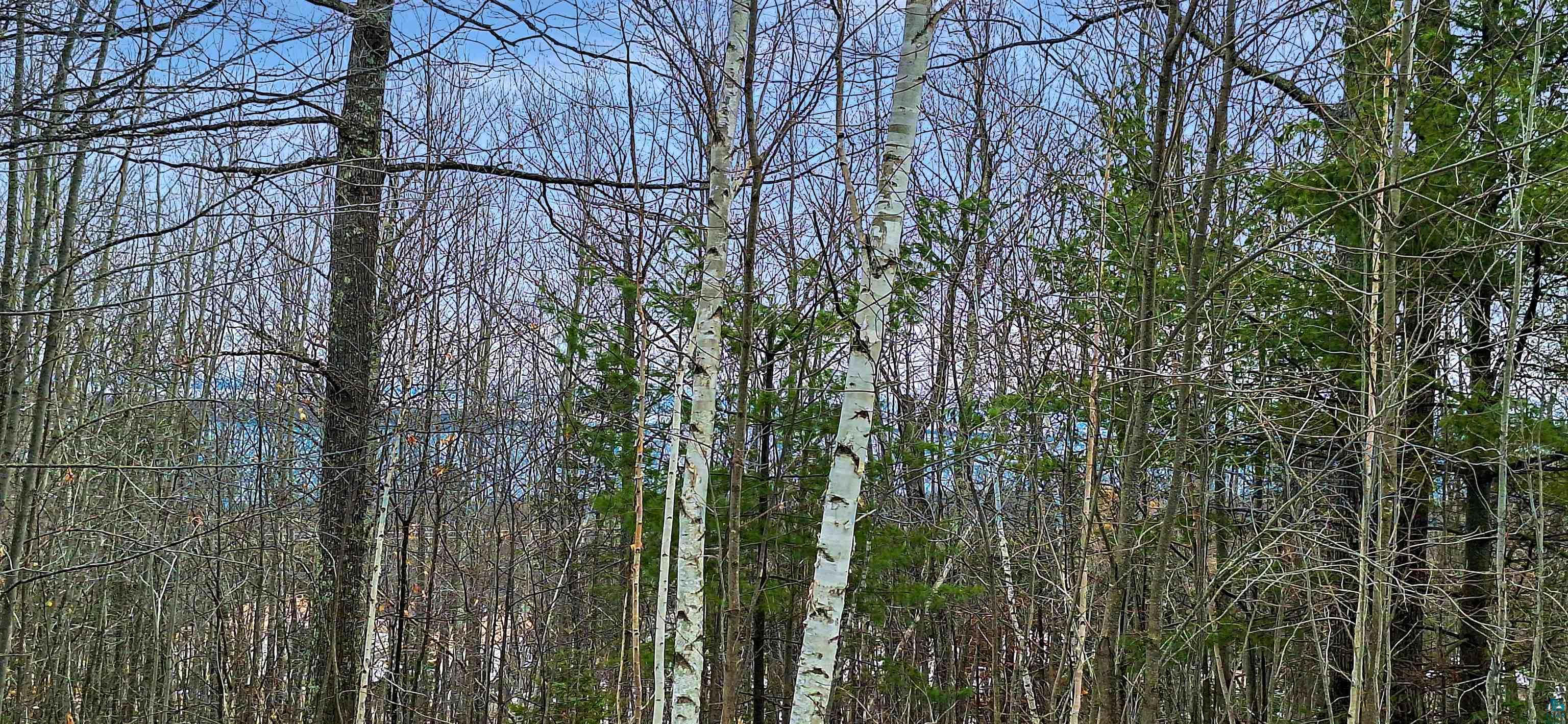 Xxx Apple Hill Road Bayfield, WI 54814 - Photo 2 of 18