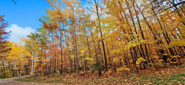 $79,900 | Xxx Apple Hill Road, Bayfield, WI 54814