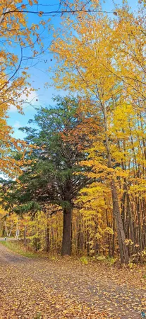 $79,900 | Xxx Apple Hill Road, Bayfield, WI 54814