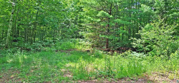 $79,900 | Xxx Apple Hill Road, Bayfield, WI 54814