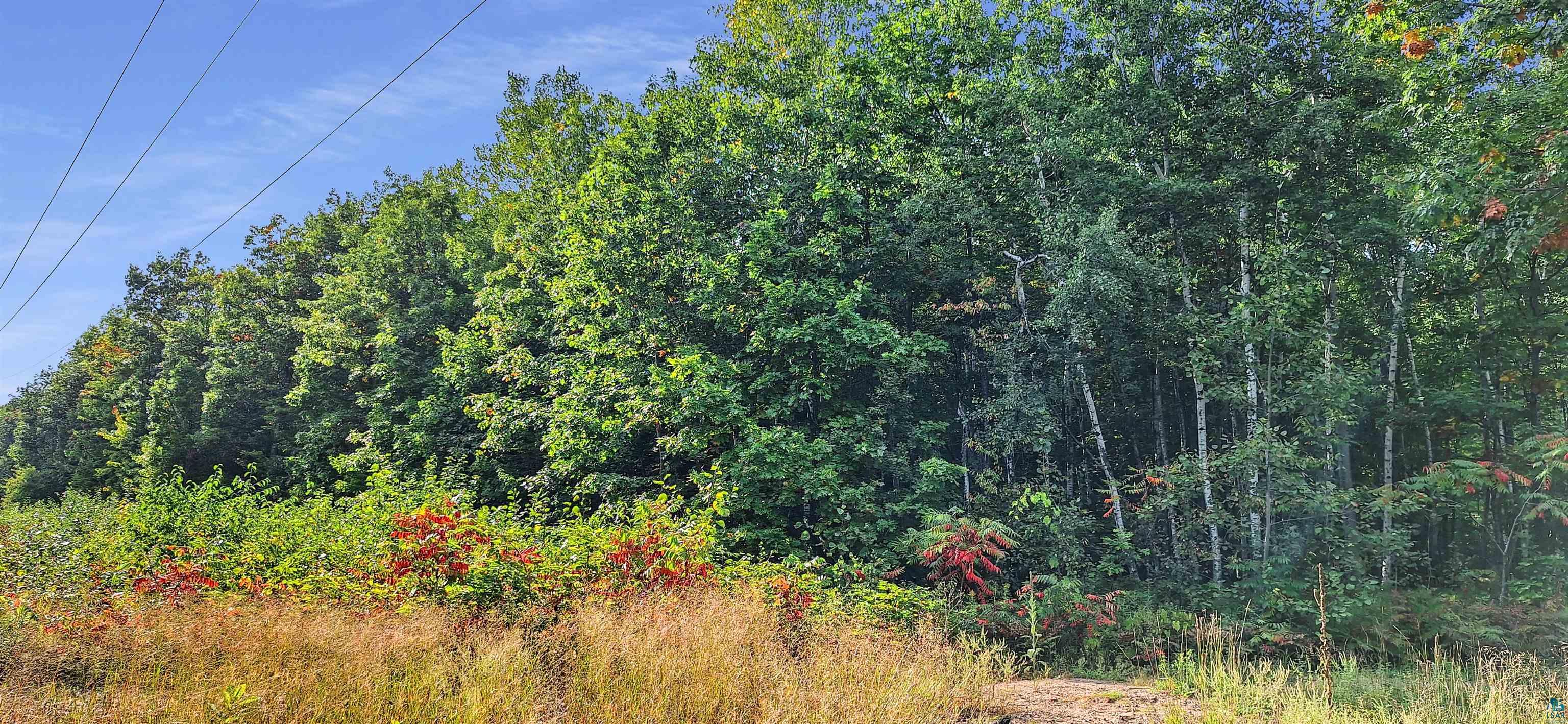 Xxx Apple Hill Road Bayfield, WI 54814 - Photo 9 of 18