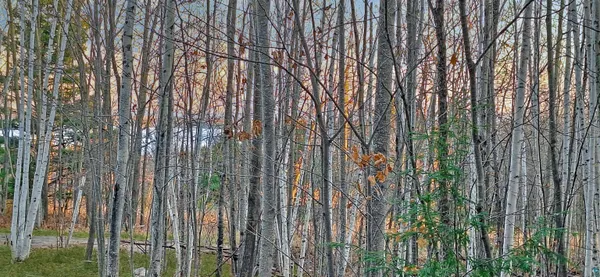 $79,900 | Xxx Apple Hill Road, Bayfield, WI 54814