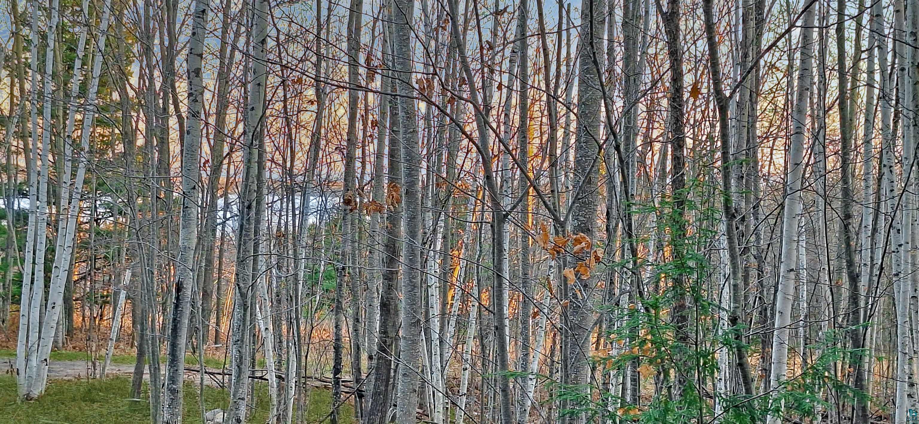 Xxx Apple Hill Road Bayfield, WI 54814 - Photo 10 of 18