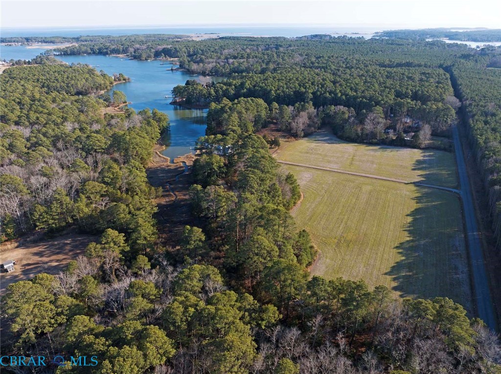 543 Potato Neck Road Port Haywood, VA 23138 - Photo 11 of 19