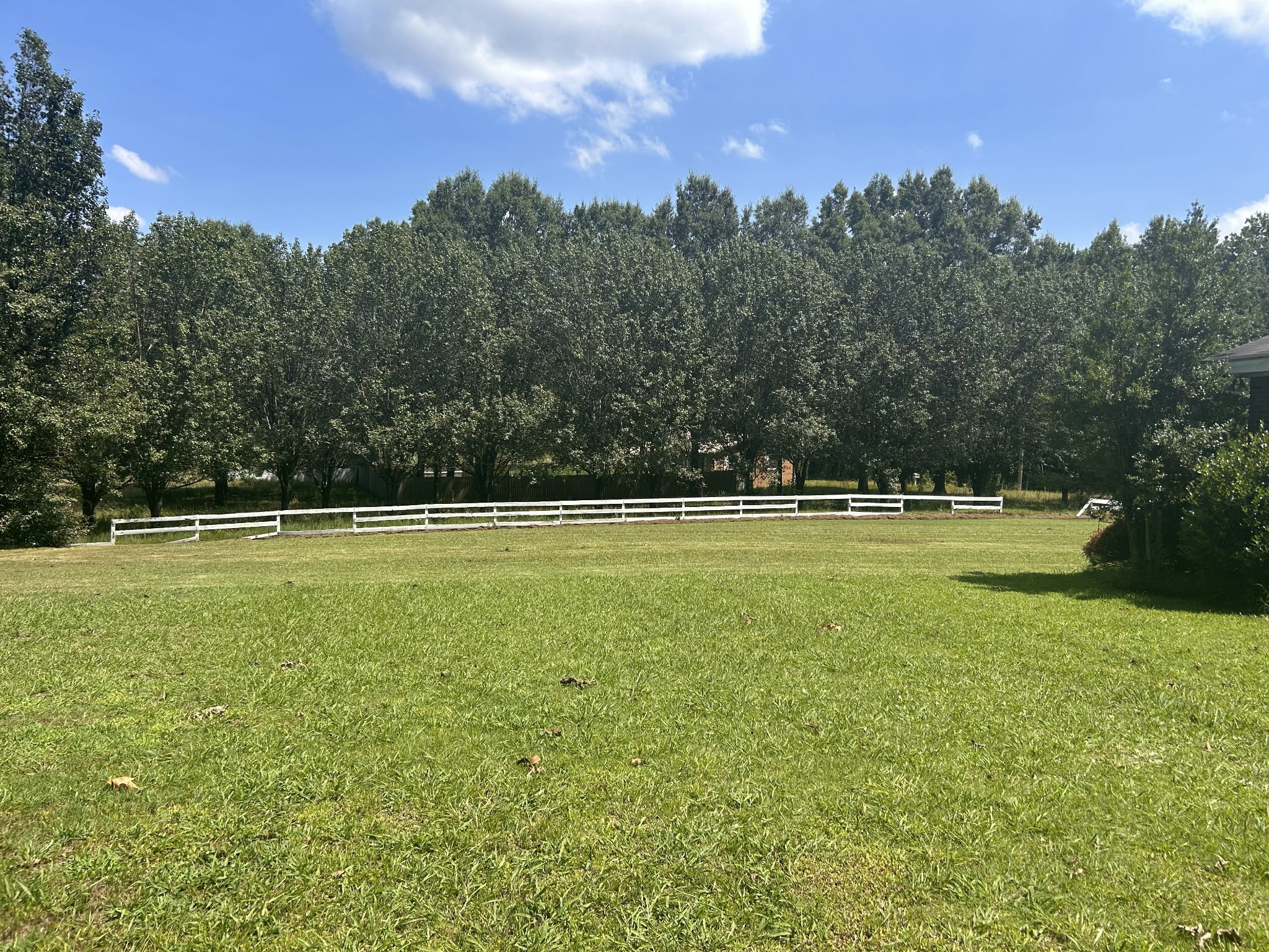 185 Holmes Mill Road Huntingdon, TN 38344 - Photo 3 of 19 Gallery Image 3
