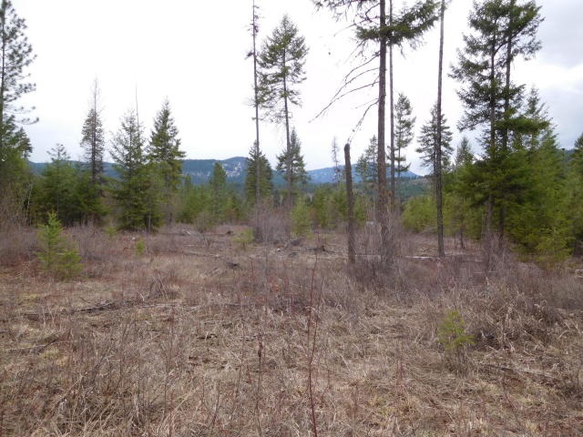 2800 Hall Creek Road Inchelium, WA 99138 - Photo 3 of 4