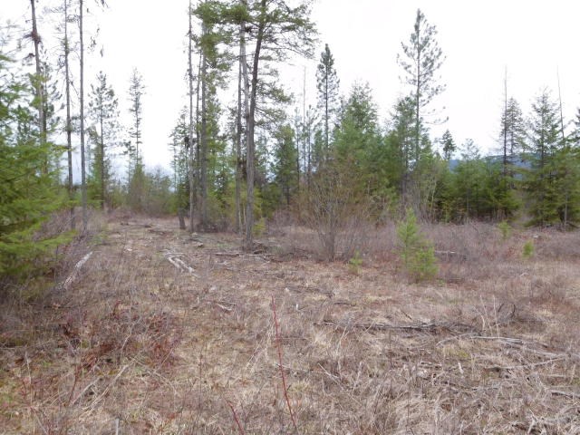 2800 Hall Creek Road Inchelium, WA 99138 - Photo 4 of 4
