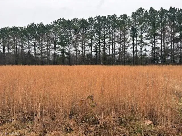 $85,000 | 192 Swans Way, Lexington, NC 27295