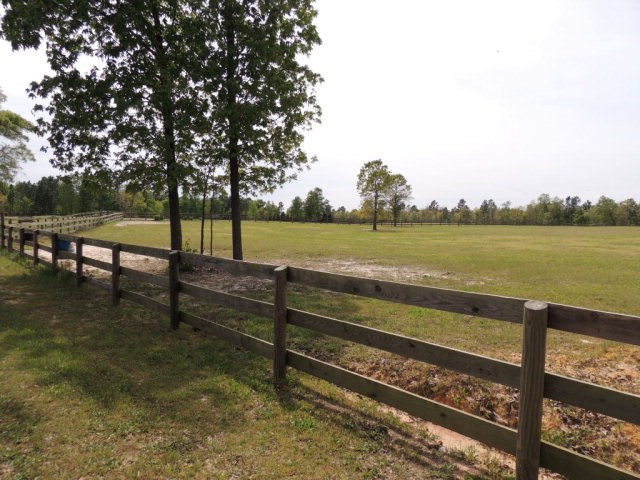 254 Beck Road Williston, SC 29853 - Photo 4 of 16