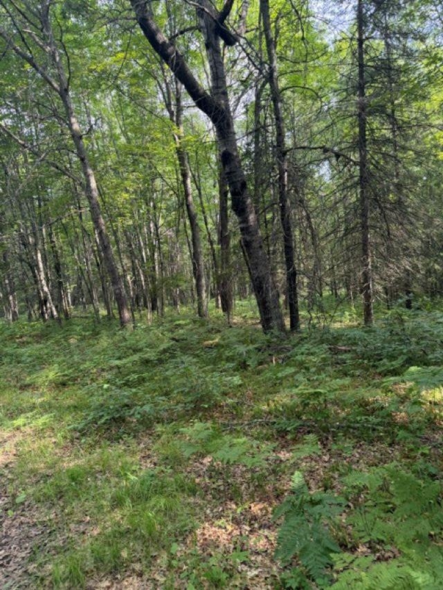 W8895 Co Road Stephenson, MI 49887 - Photo 26 of 31