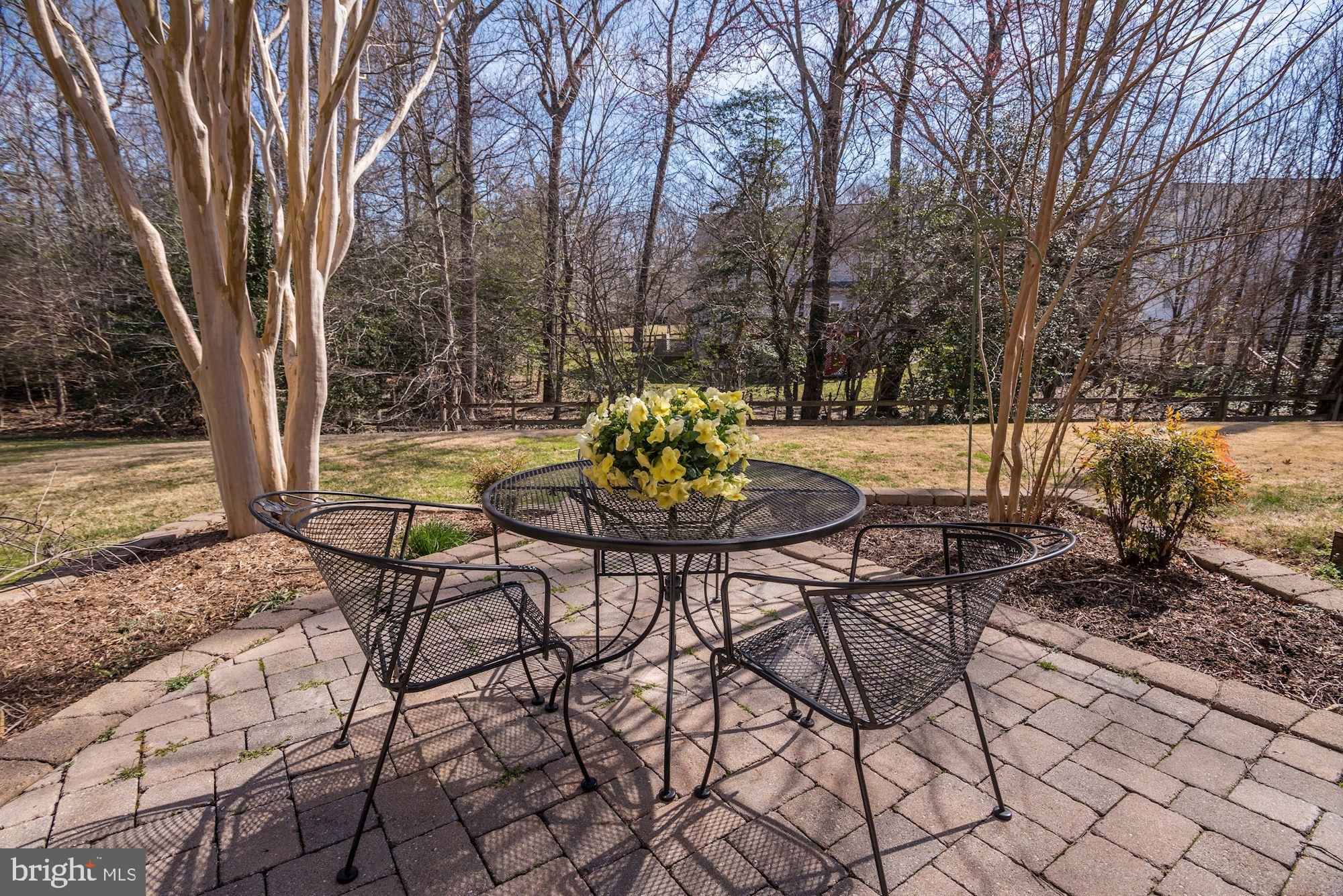 3231 Escapade Circle Riva, MD 21140 - Photo 15 of 33 Beautiful views of garden