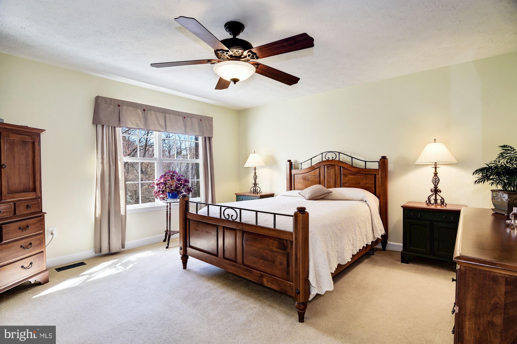 3231 Escapade Circle Riva, MD 21140 - Photo 16 of 33 Master Bedroom