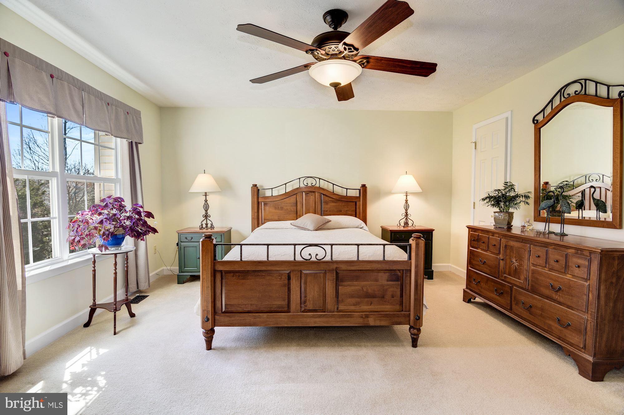3231 Escapade Circle Riva, MD 21140 - Photo 17 of 33 Master Bedroom