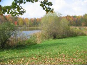 68 Costello Road Lisle, NY 13797 - Photo 5 of 12 Gallery Image 5