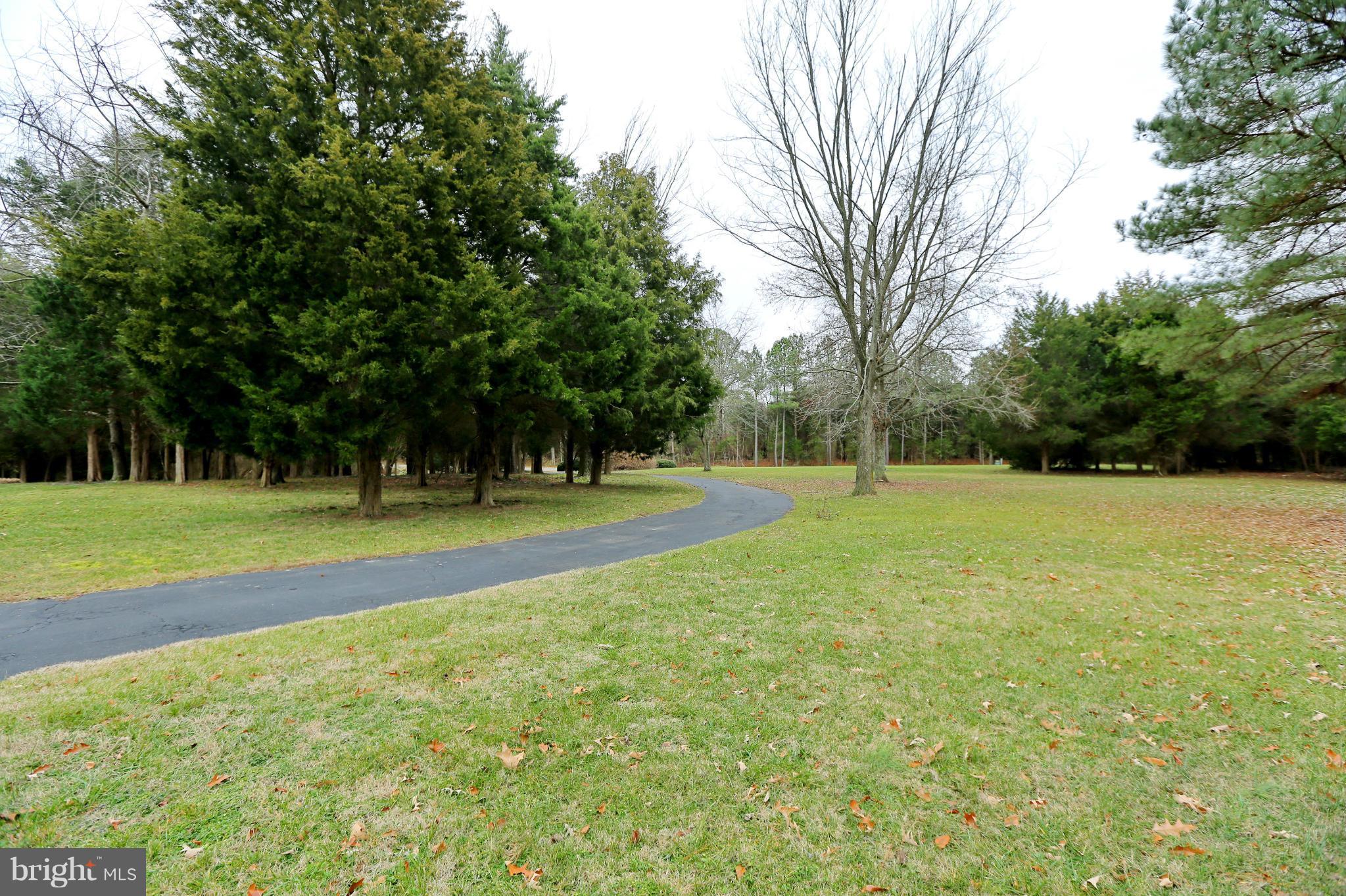 13920 Waverly Point Road Newburg, MD 20664 - Photo 5 of 30 View