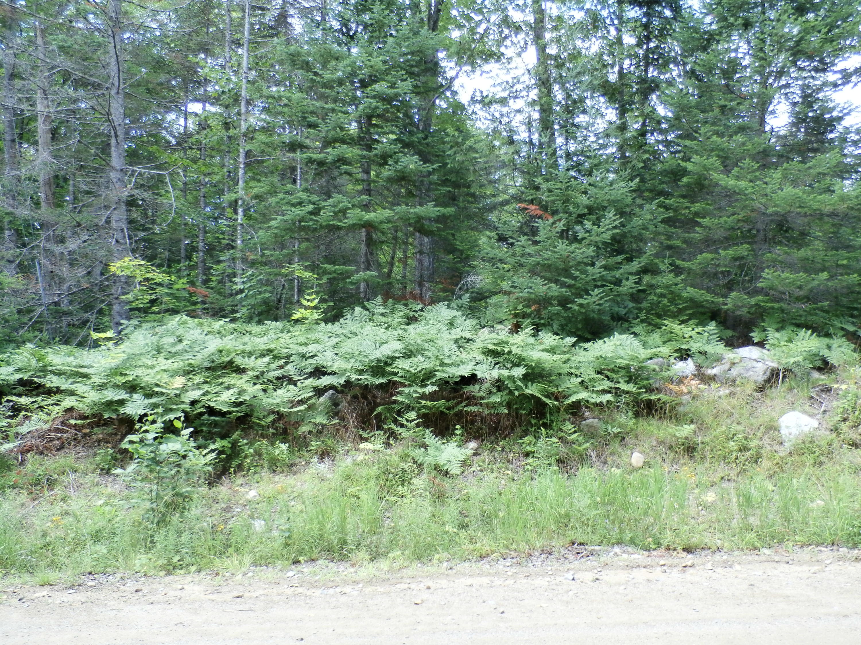 P7160008