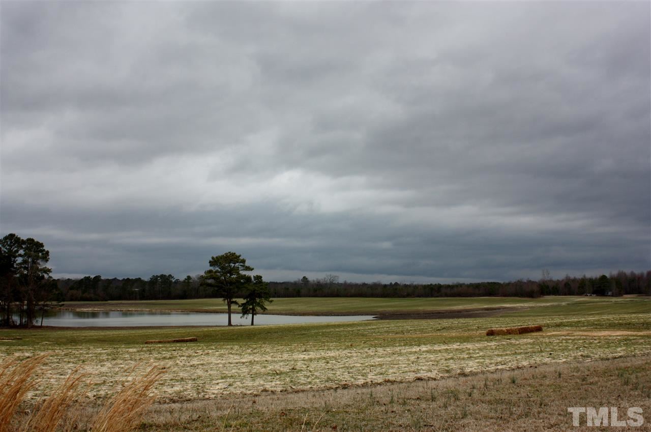 1696 Oak Grove Church Road Angier, NC 27501 - Photo 2 of 16 The view across the street is as peaceful as it gets.